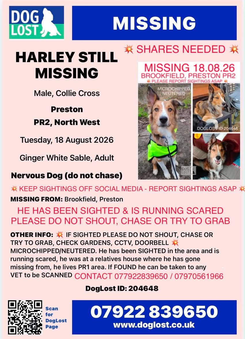 Lost Dog in Preston