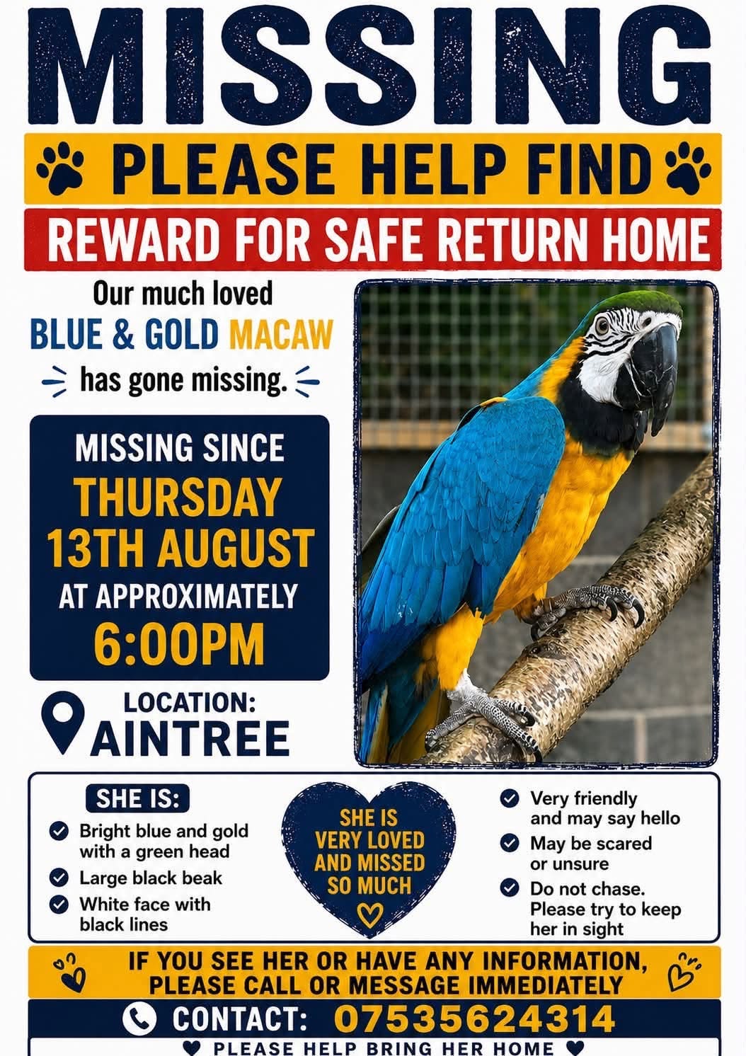 Lost Bird in Liverpool