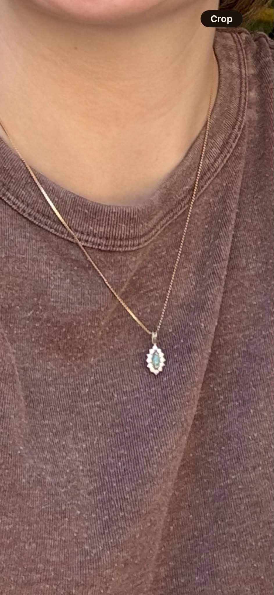 Lost Necklace in Windsor