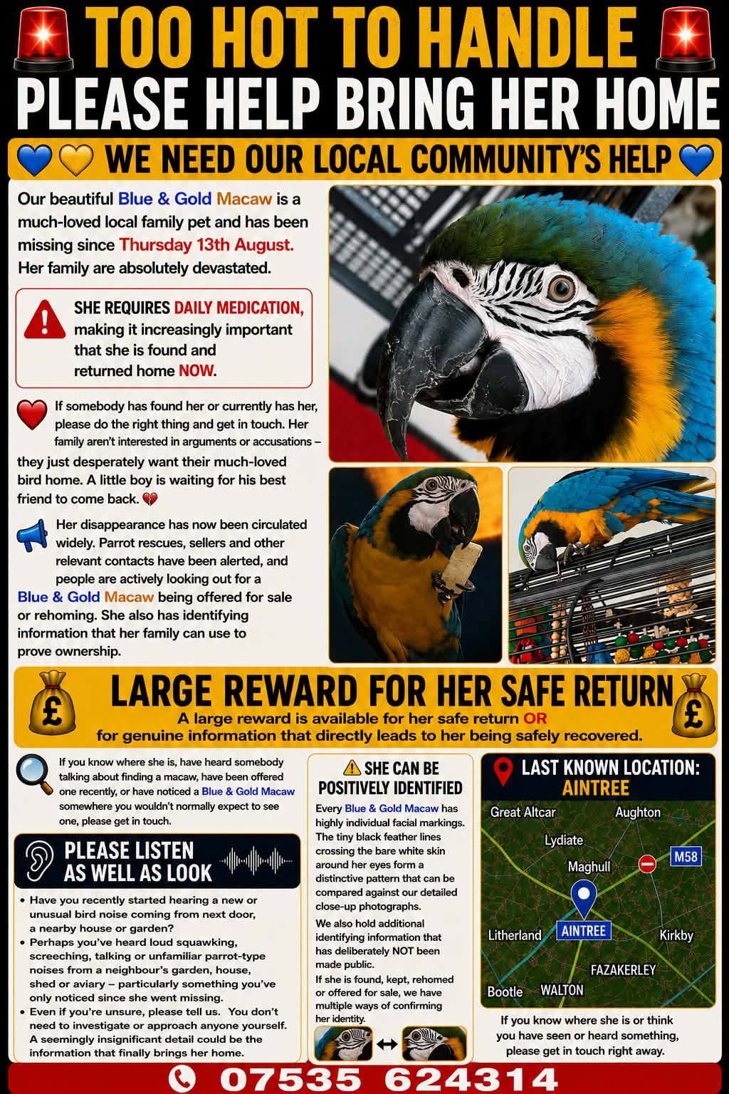 Lost Bird in Liverpool