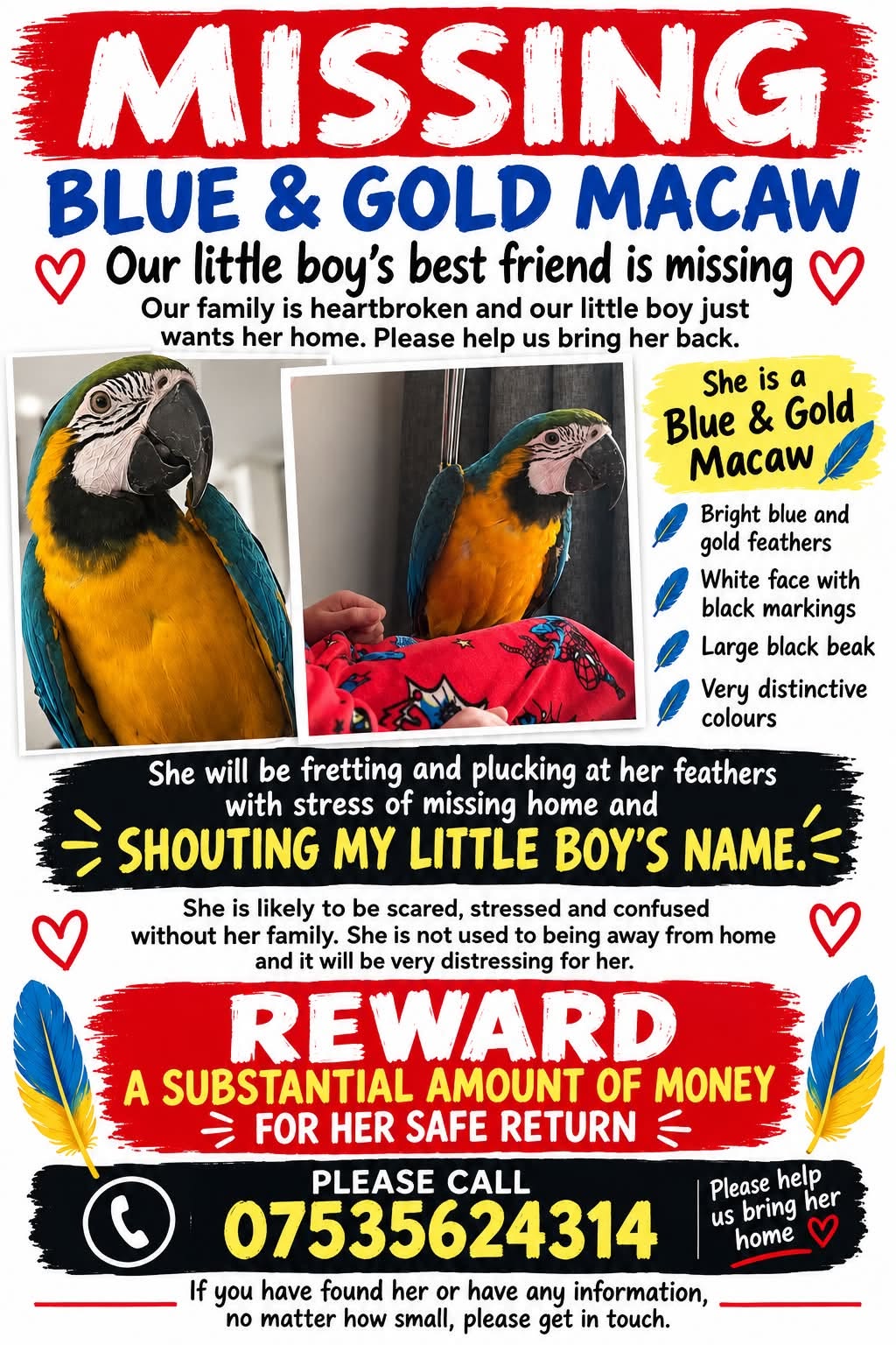 Lost Bird in Merseyside