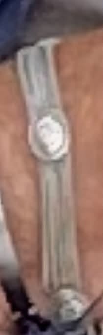 Lost Bracelet in Sarpsborg