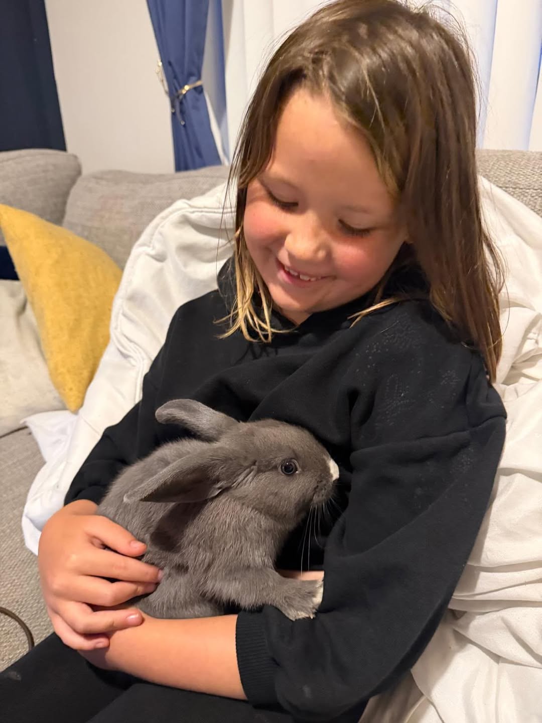 Lost Rabbit in Liverpool