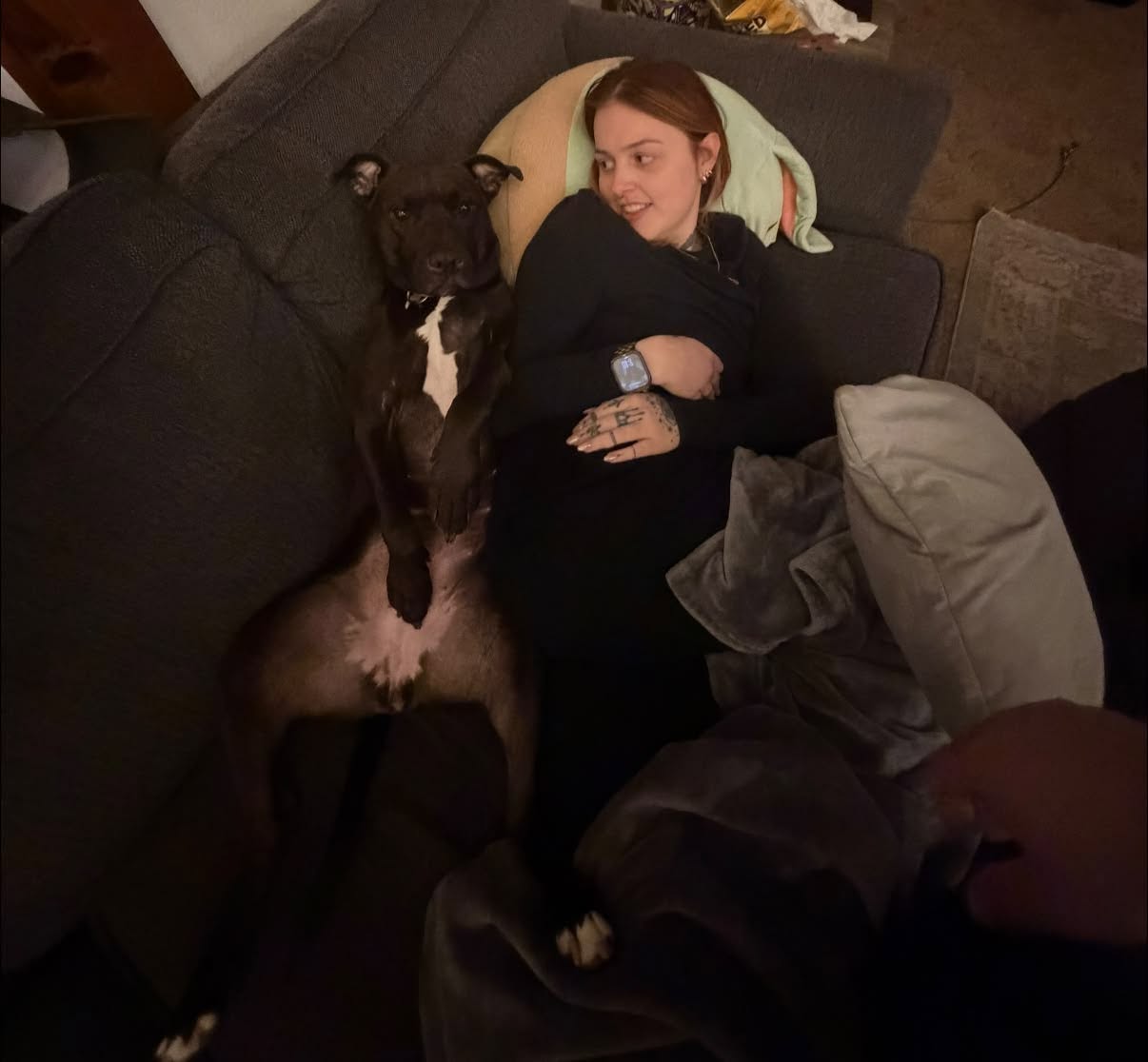 Lost Dog in New Kensington