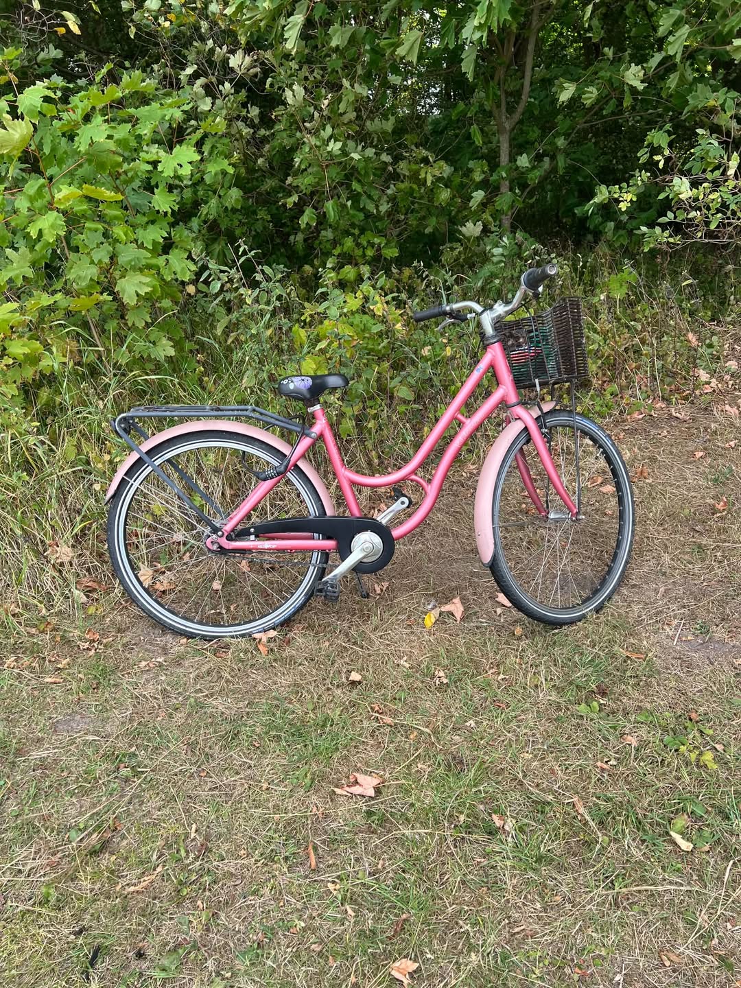Found bike