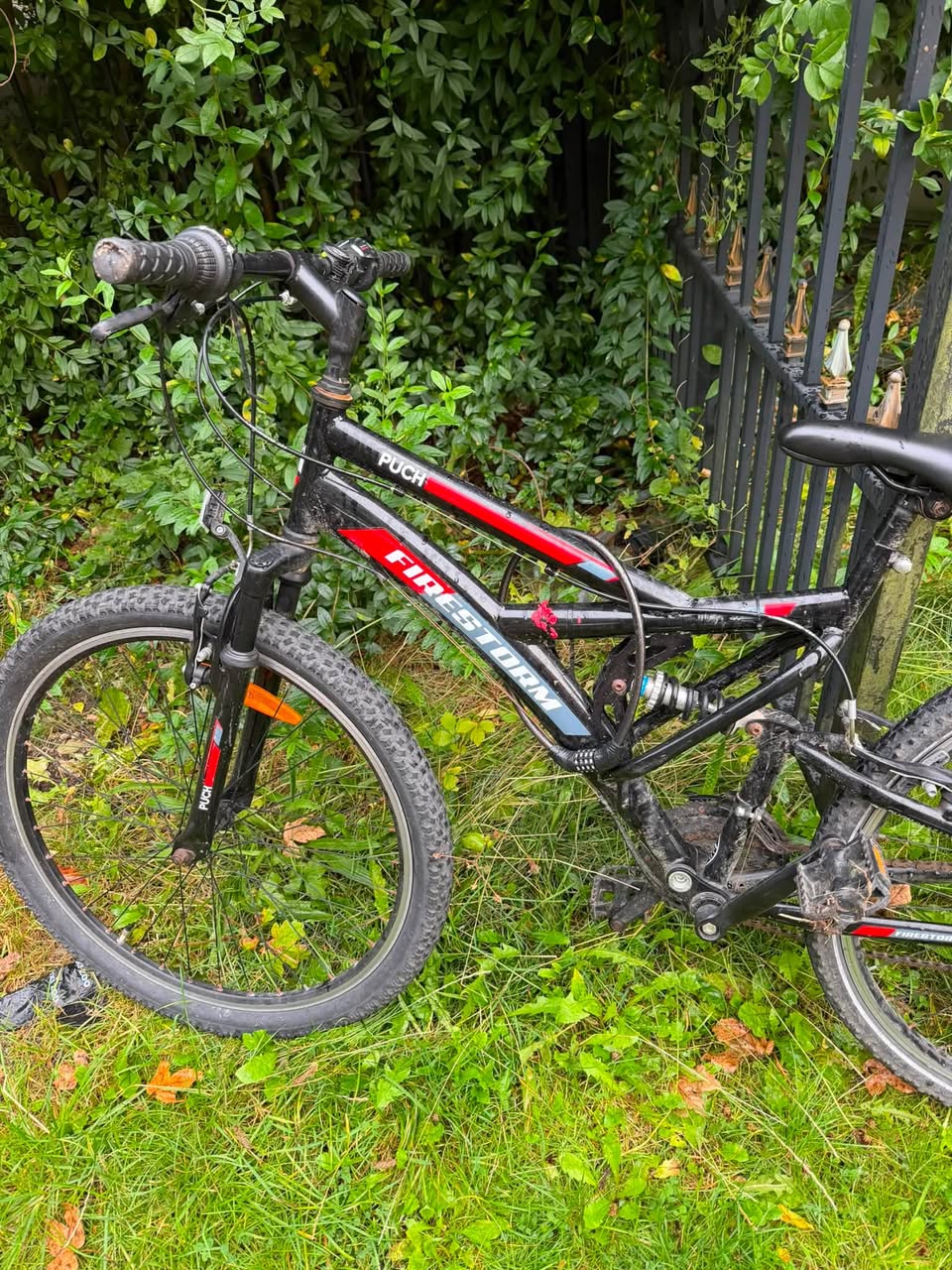 Found bike