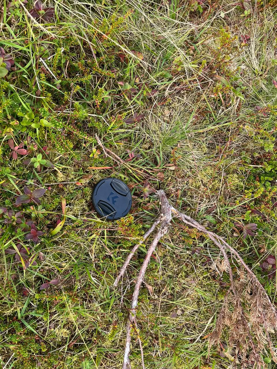Found Camera in Lofoten