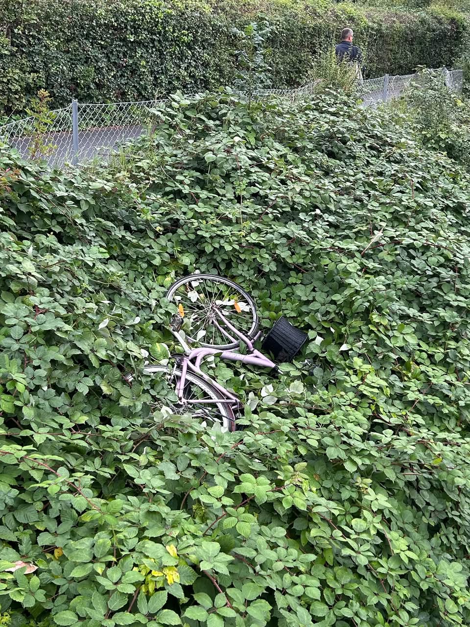 Found bike