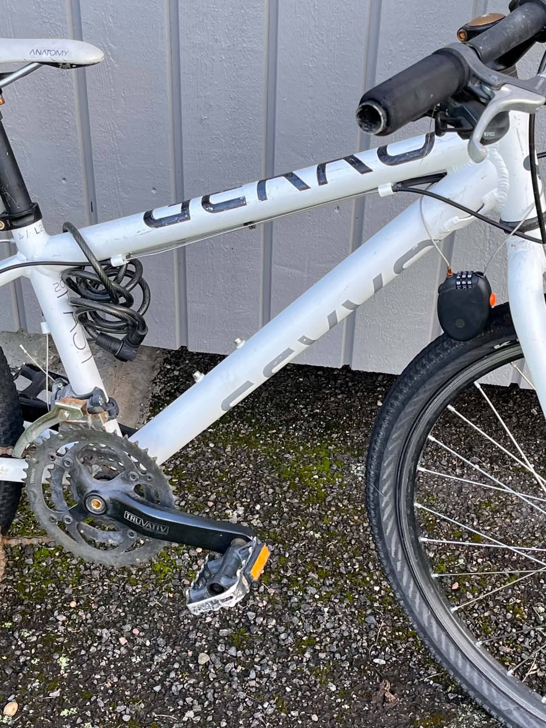 Found bike