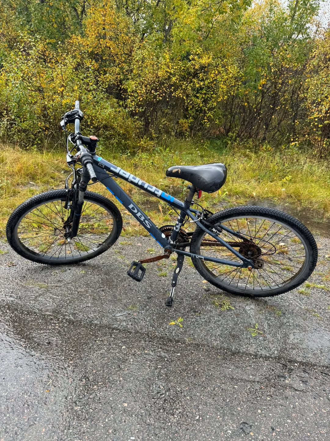 Found bike