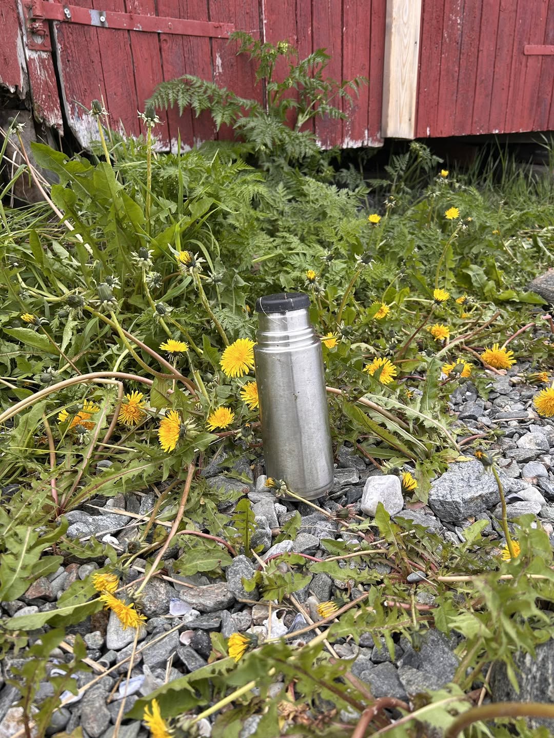 Found Thermos in Harstad