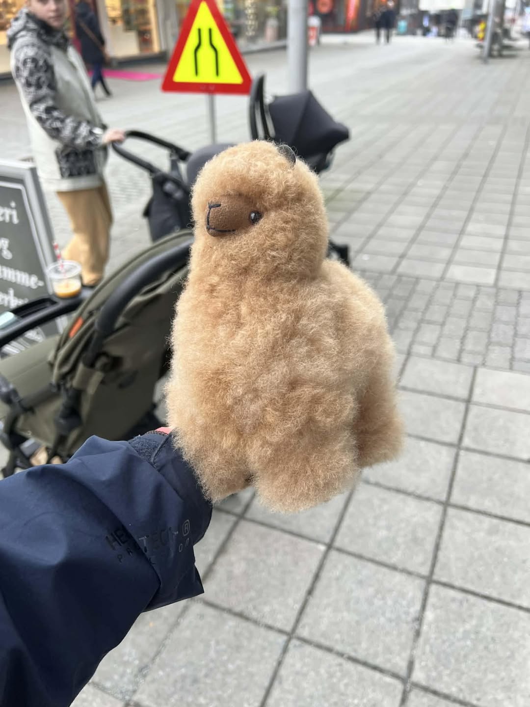 Lost Toy in Haugesund