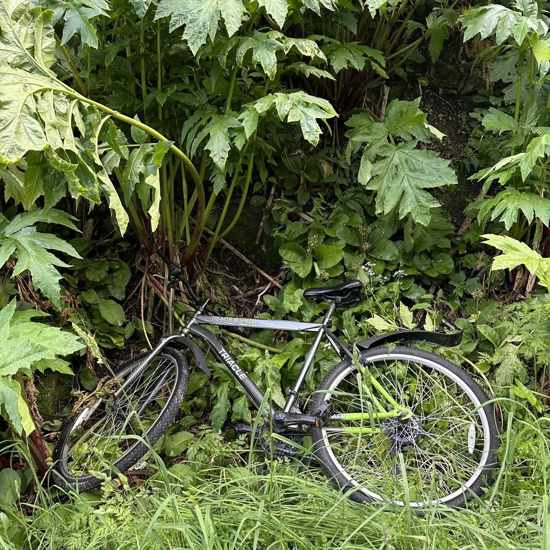 Found bike