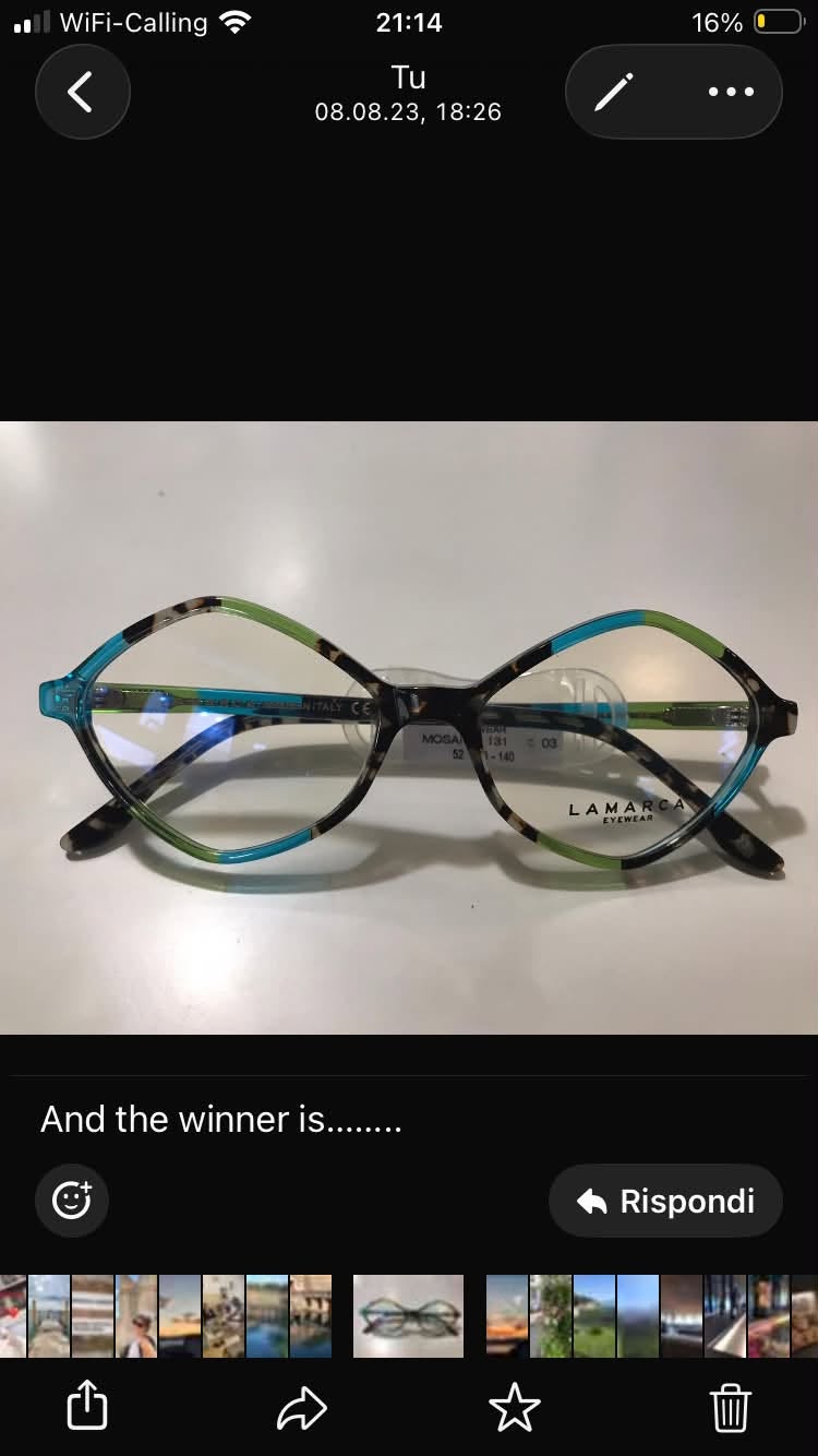 Lost Glasses in Lugano - Mendrisio