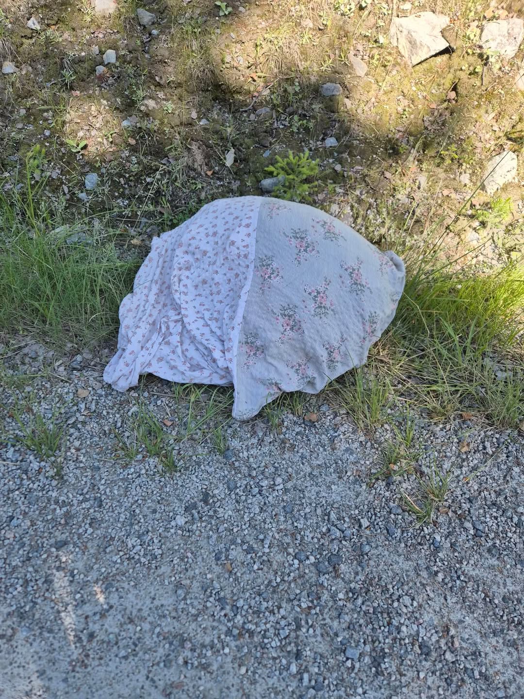 Found Bedding in Hallingdal