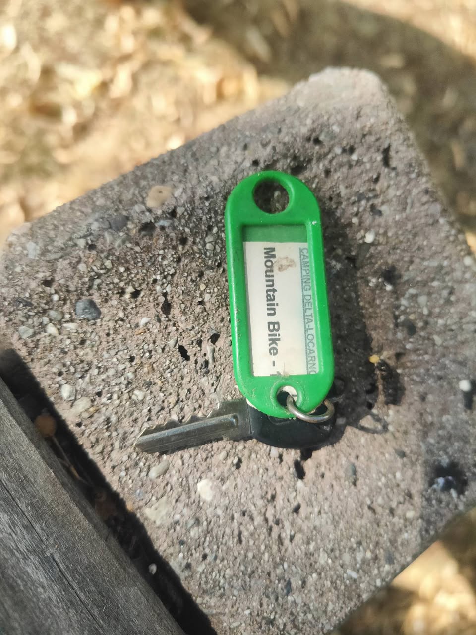 Found keys