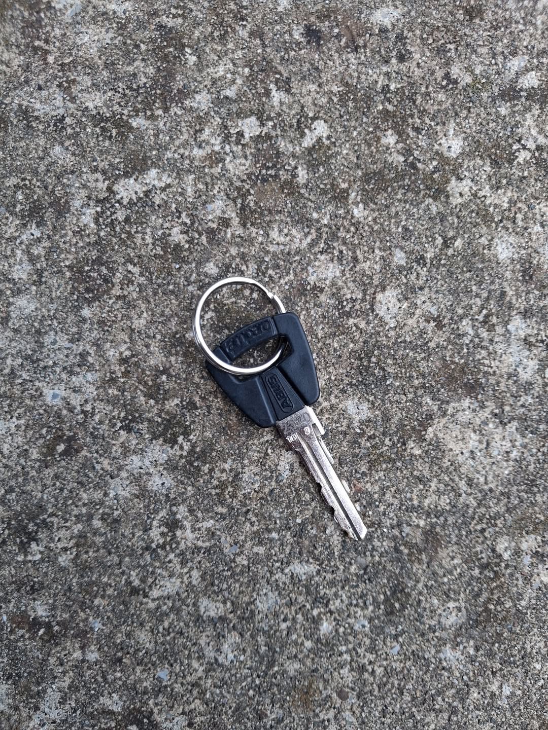 Found keys