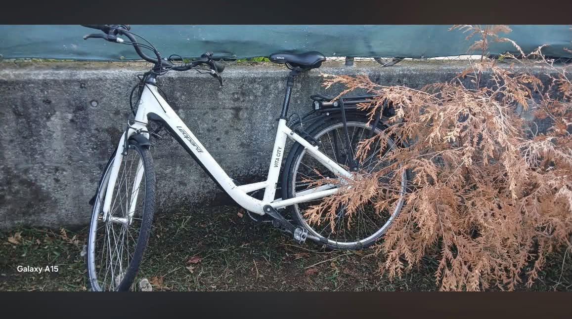 Found bike