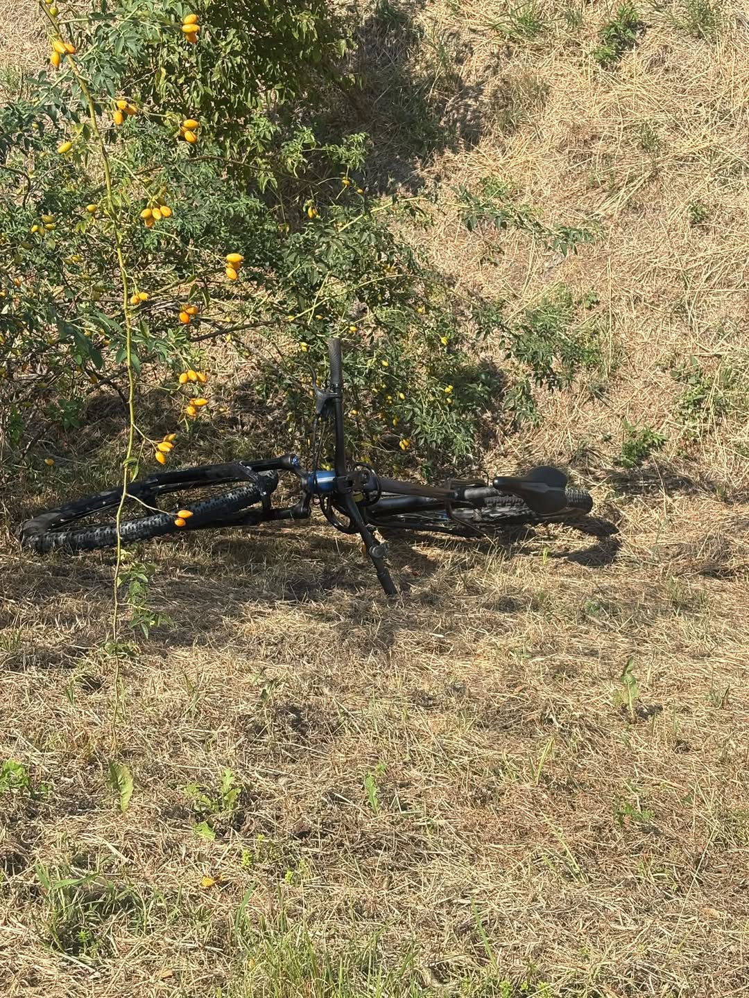 Found bike