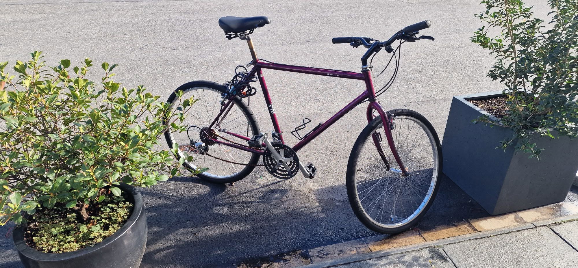 Found bike
