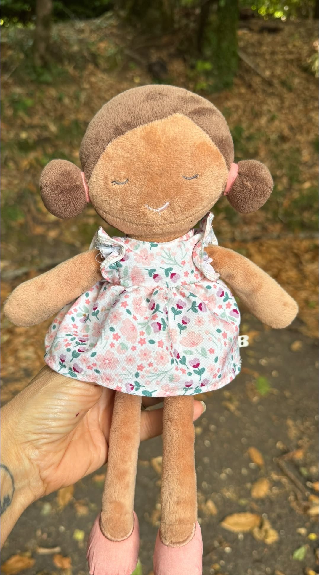 Found Toy in Ticino