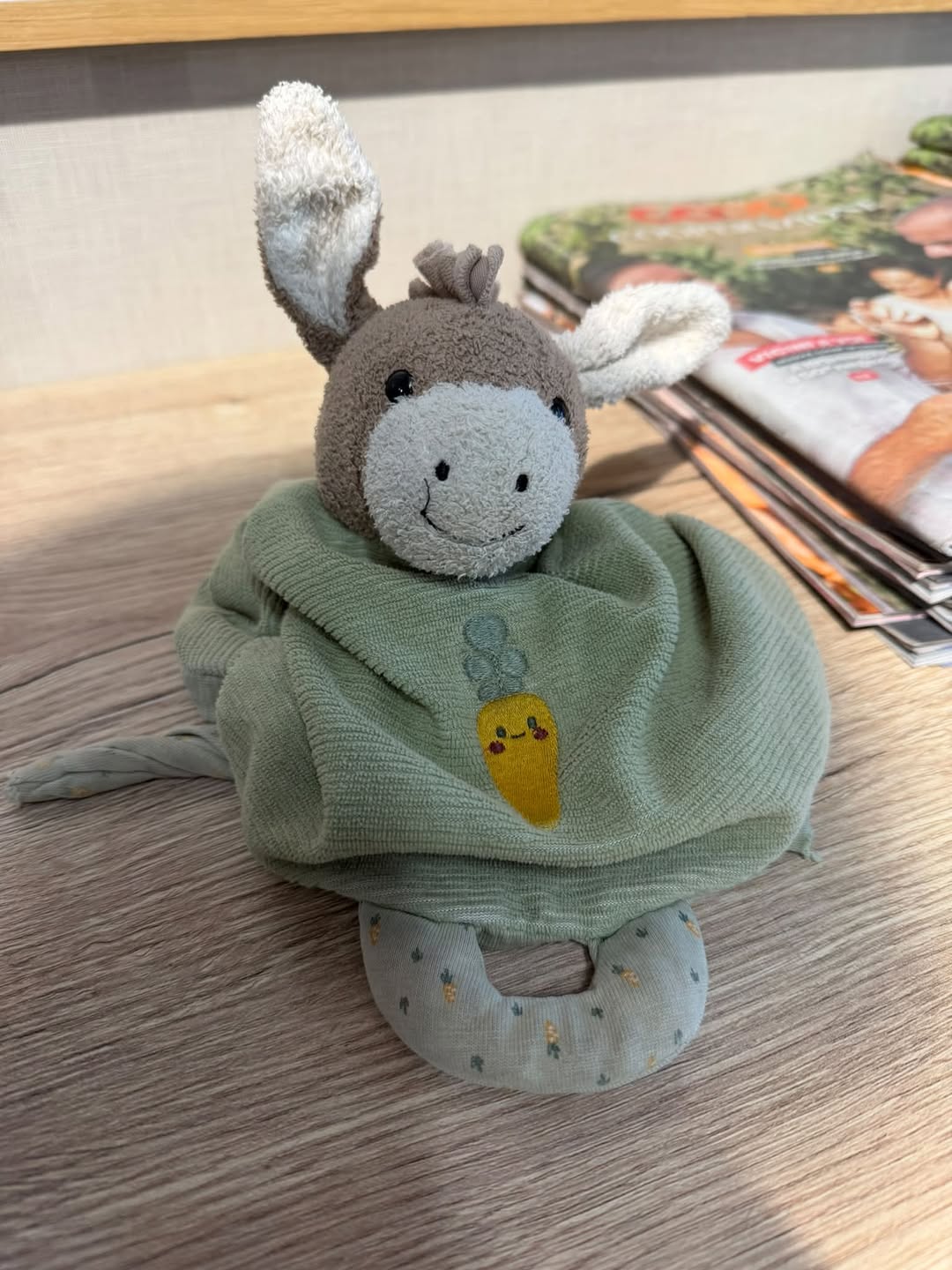 Found Plush Toy in Ticino