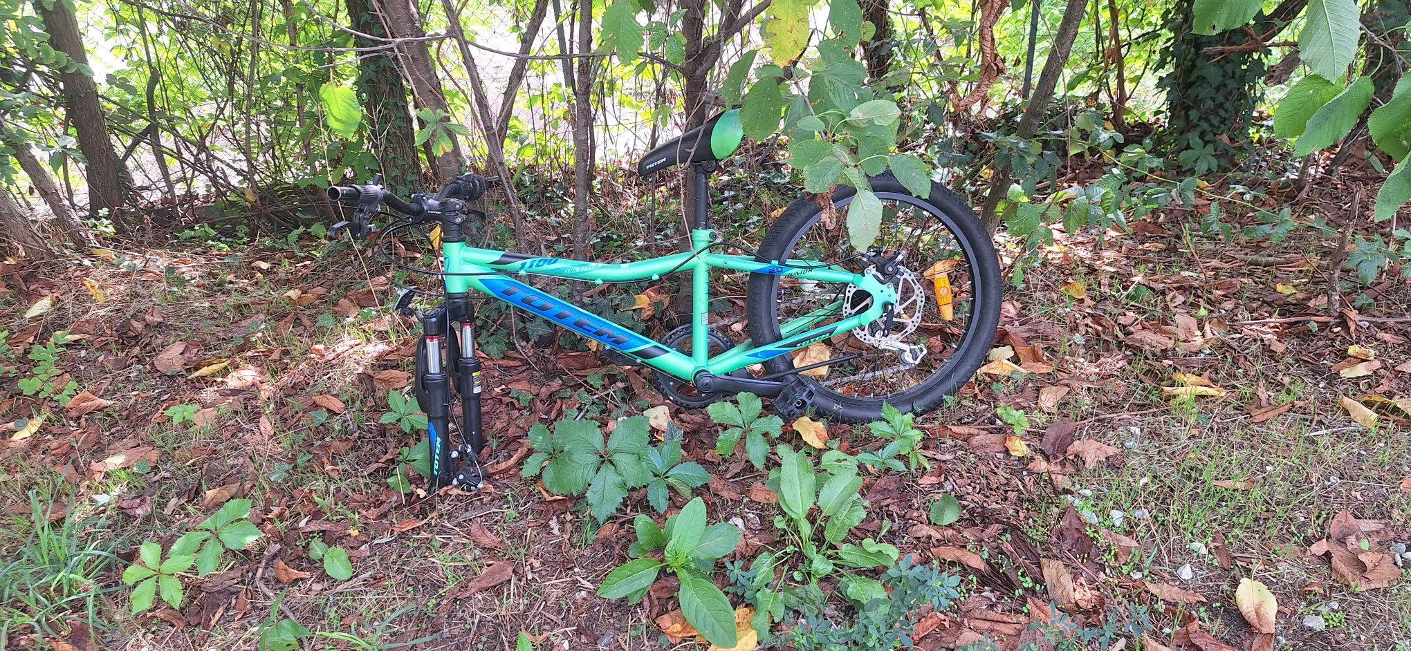 Found bike
