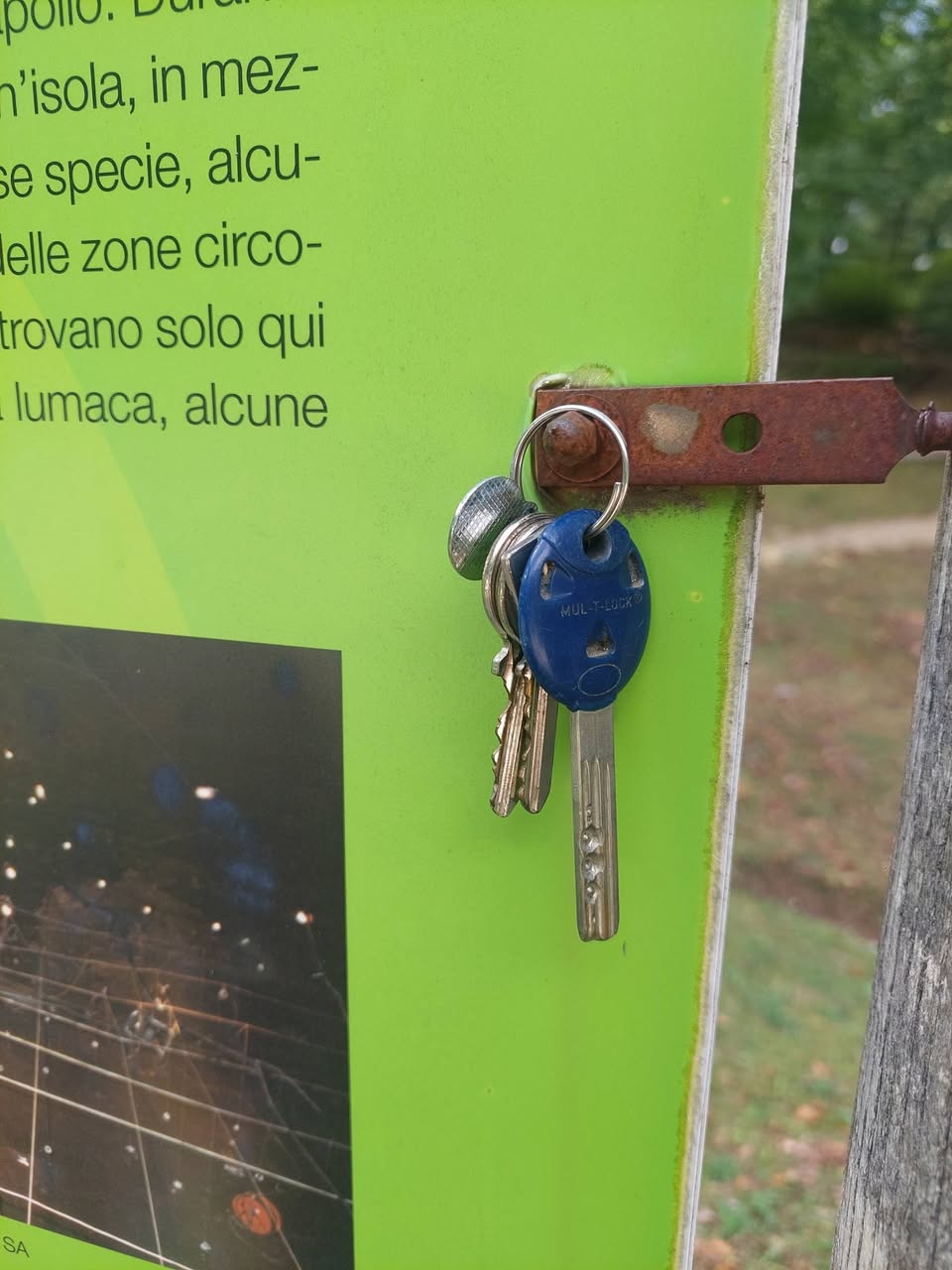 Found keys