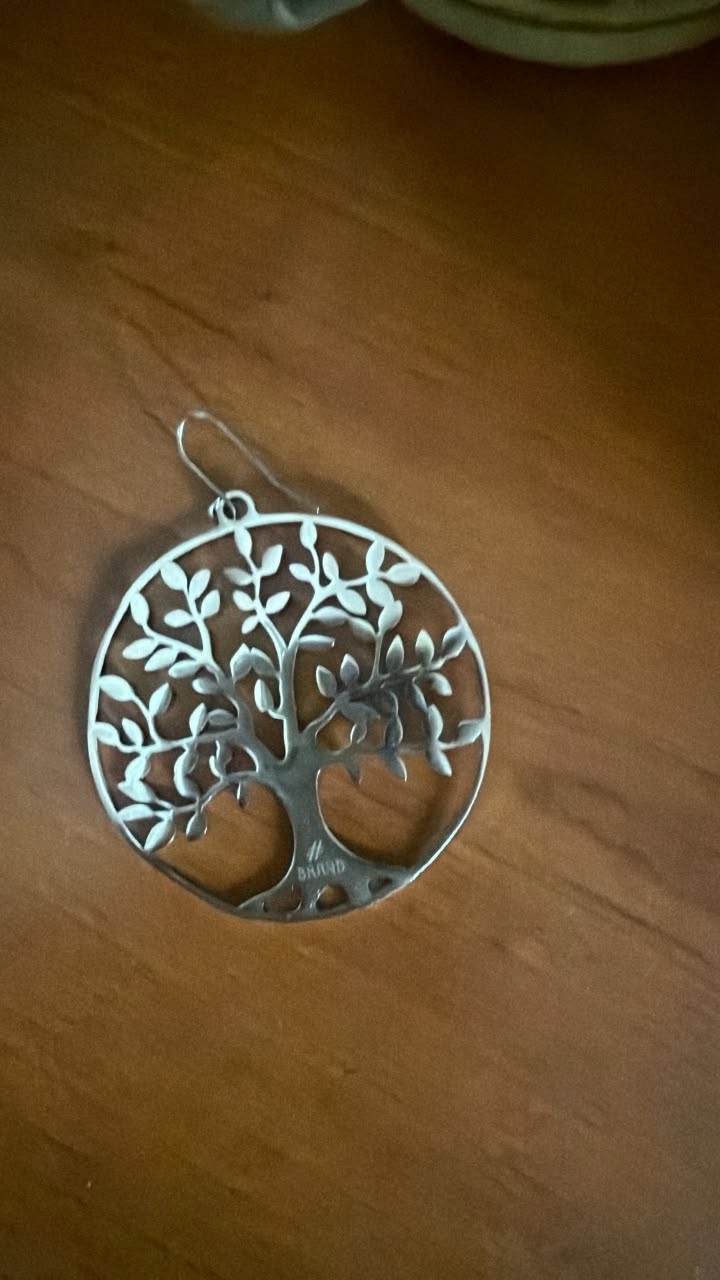 Lost Earring in Losone