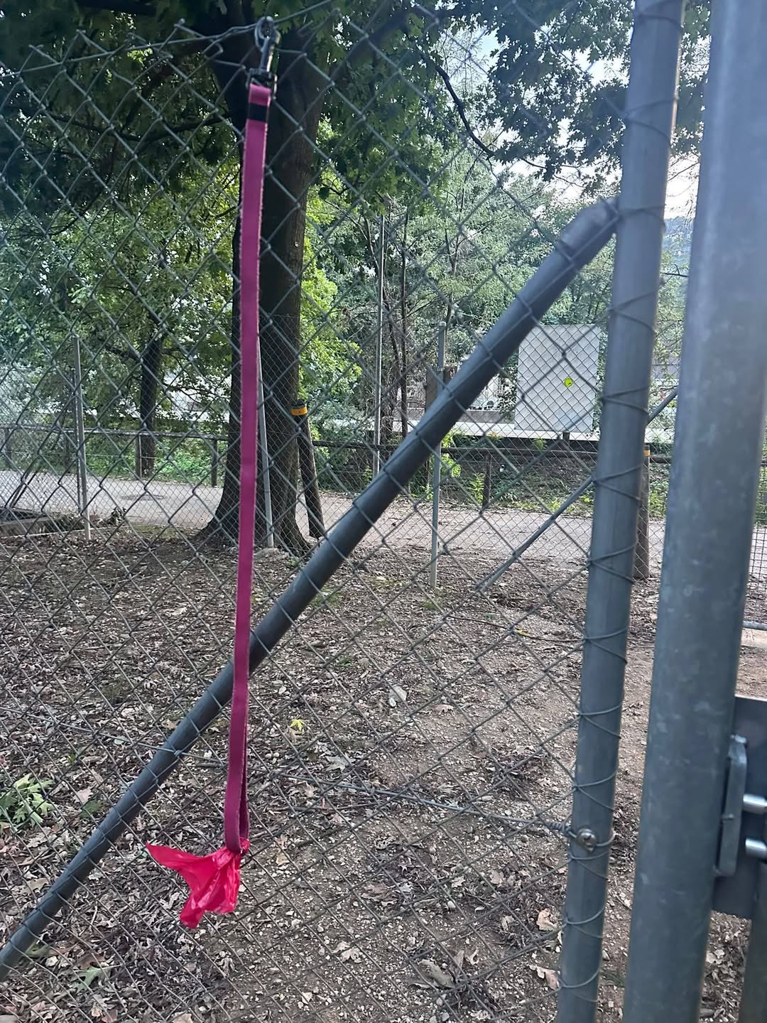 Found dog leash