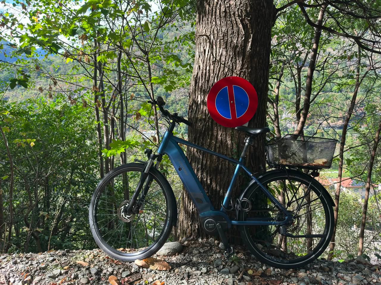 Found bike