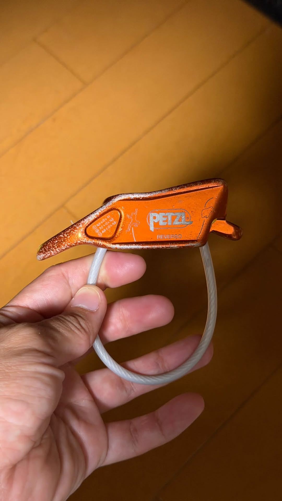 Found climbing gear