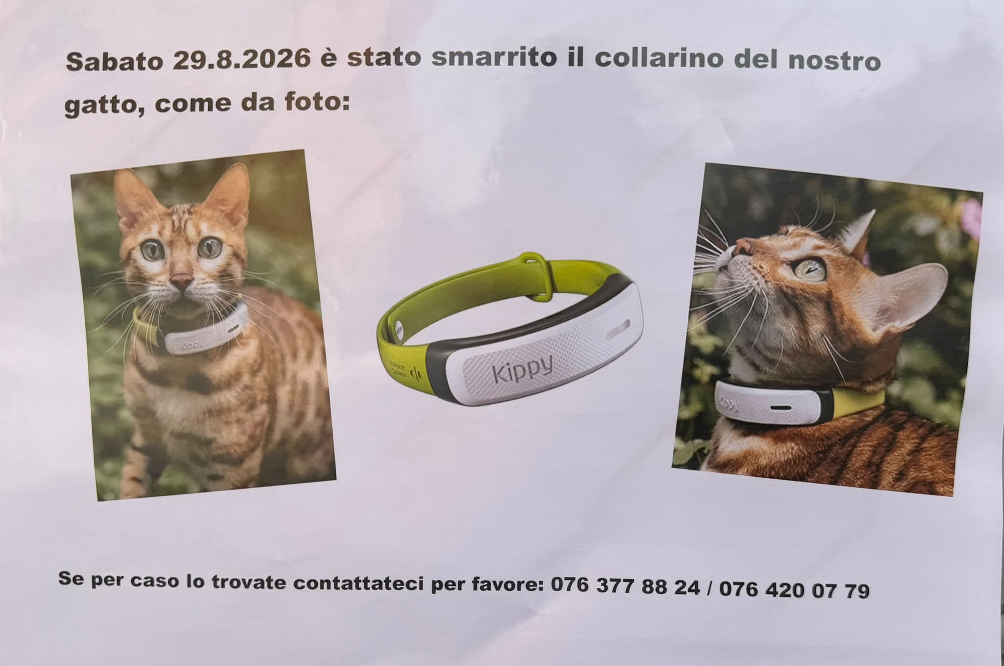 Lost collar