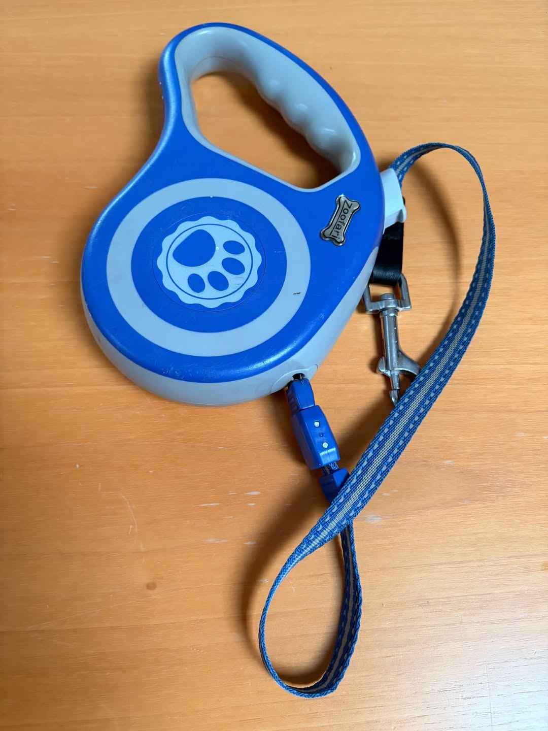 Found Dog Leash in Ticino