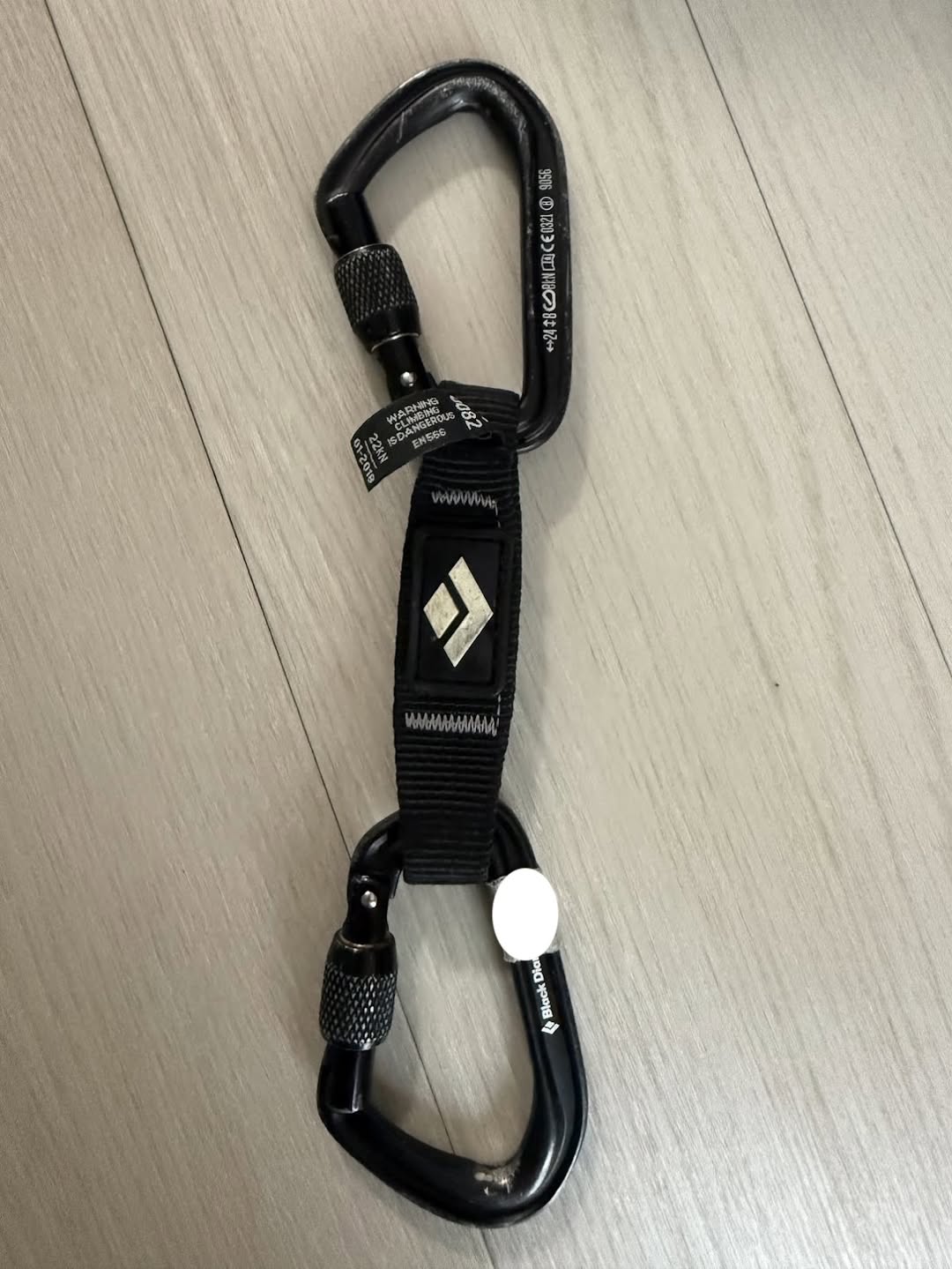 Found Carabiner in Minami-Alps