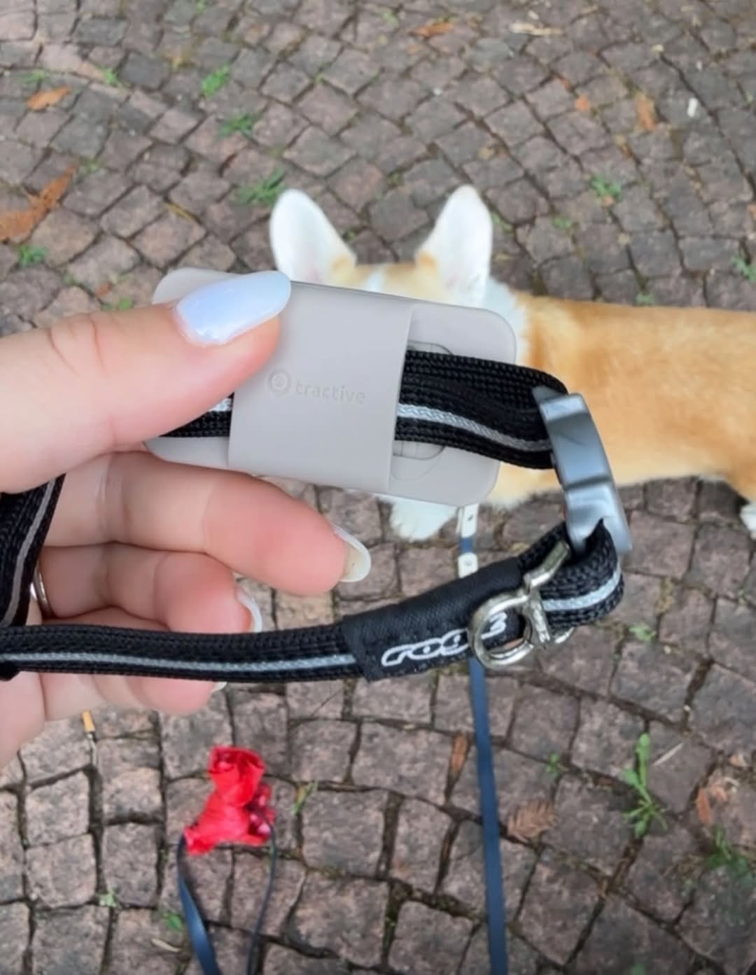 Found GPS Tracker in Lugano