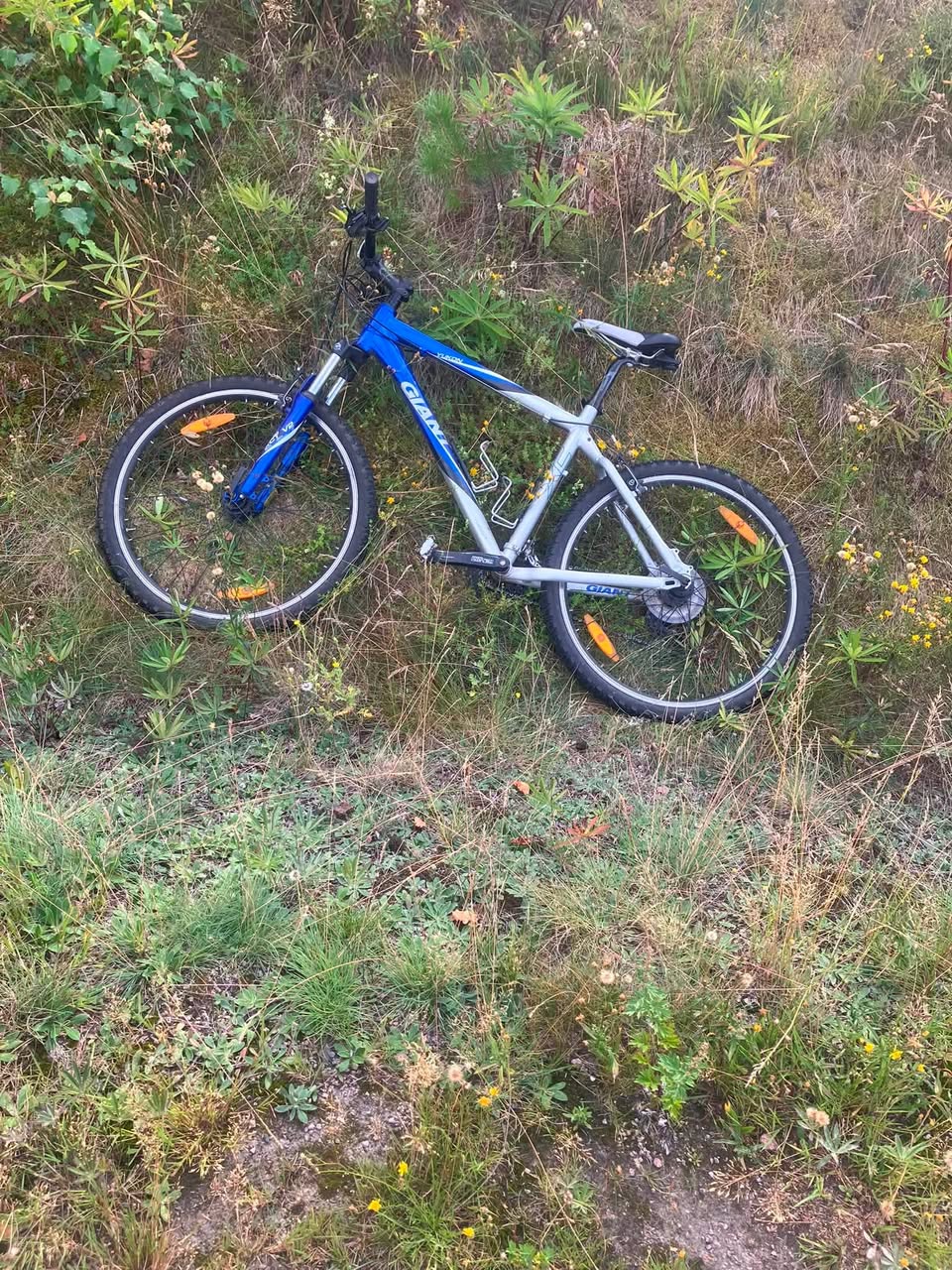 Found bike