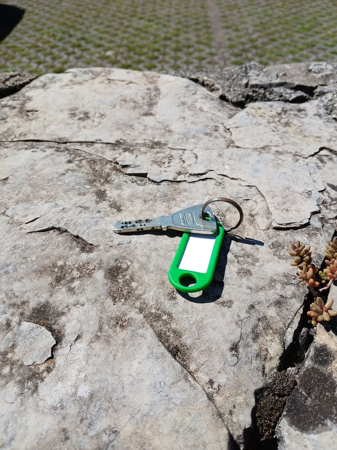 Found keys