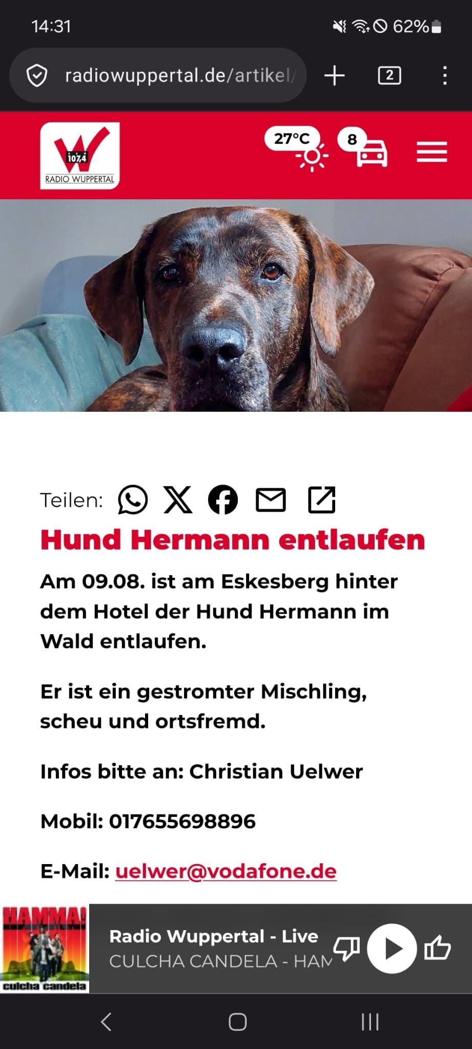 Lost Dog in Wuppertal