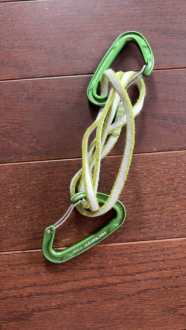 Found carabiner