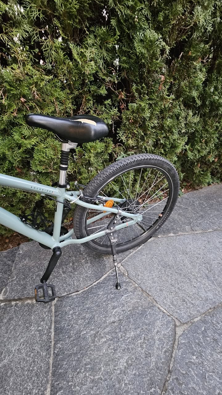 Found bike