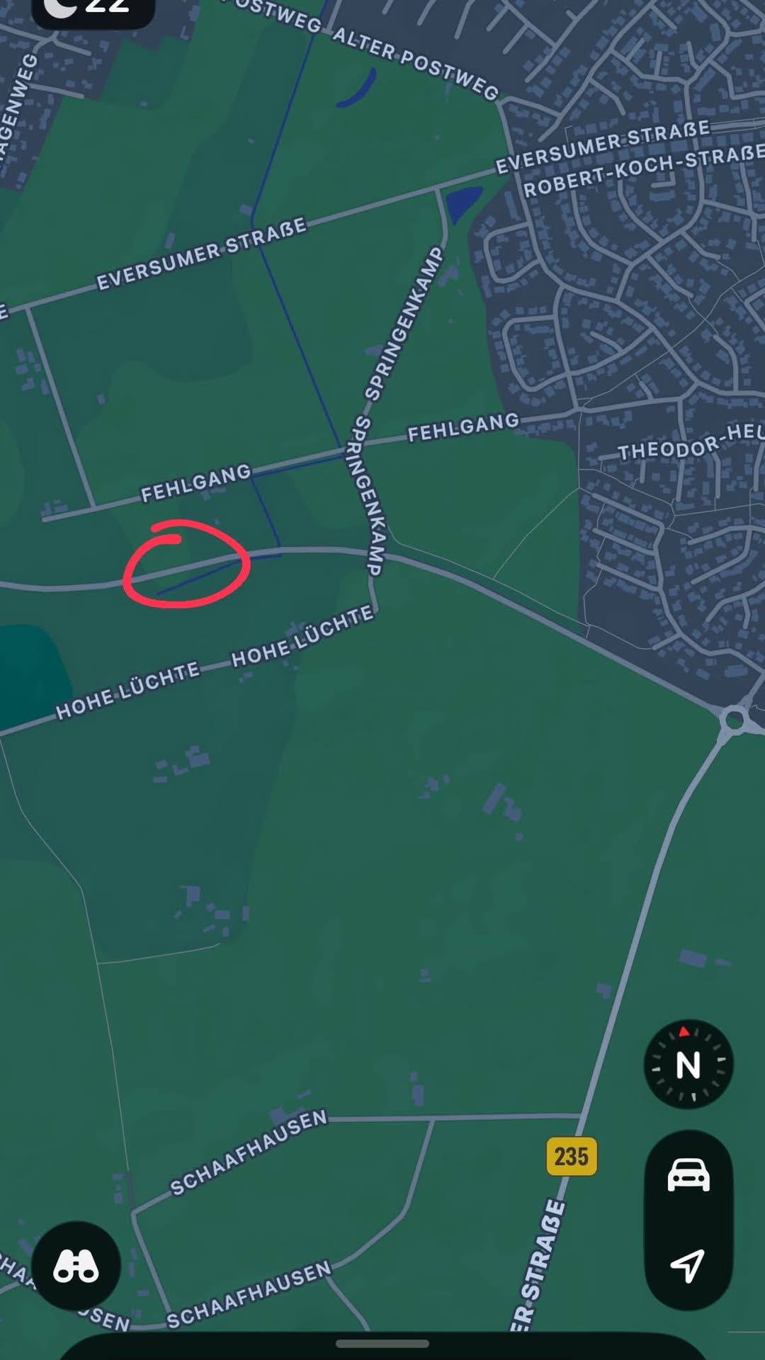 Found Dog in Olfen