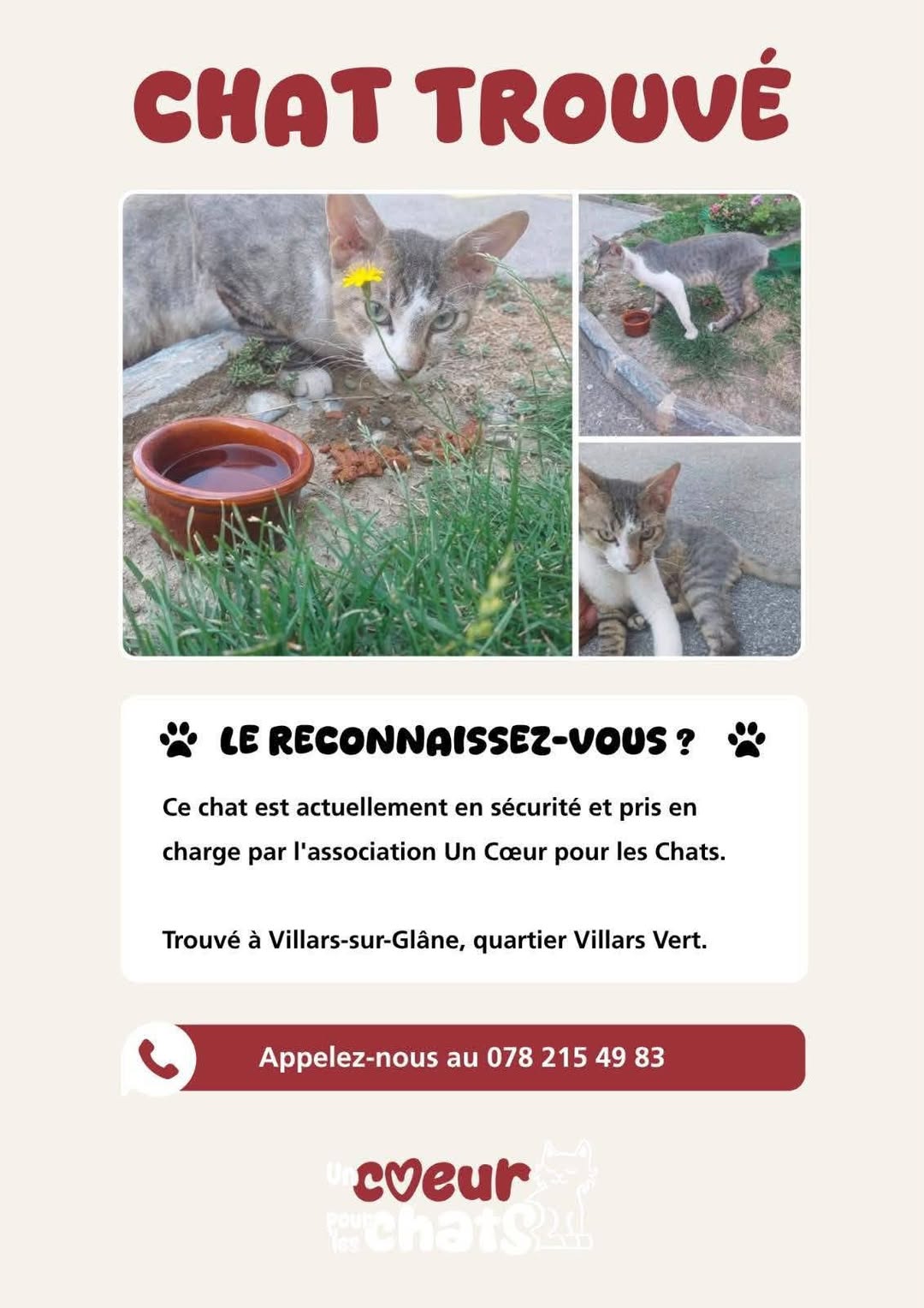 Found Cat in Villars-Sur-GlâNe
