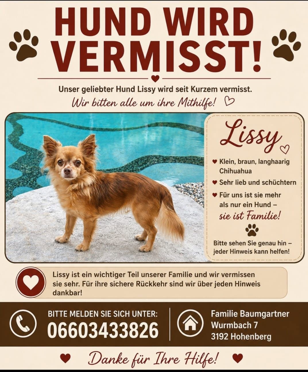 Lost Dog in Hohenberg