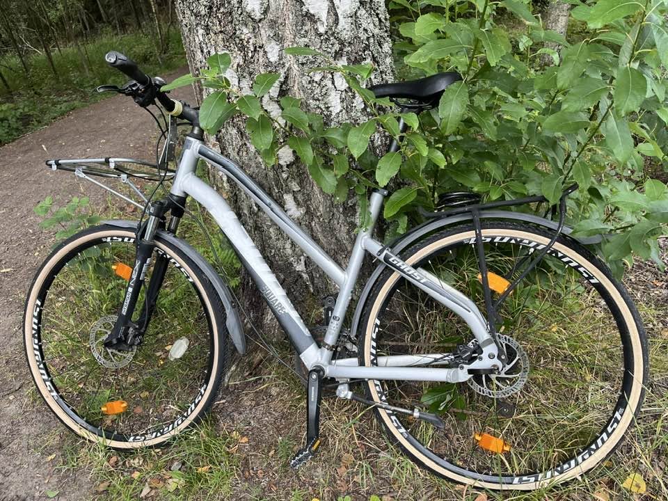 Found bike