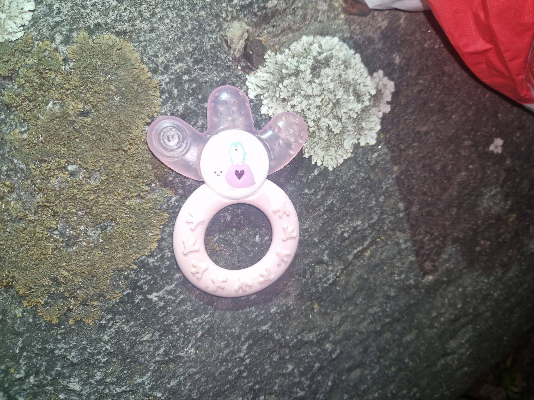 Found Teether in Gordola