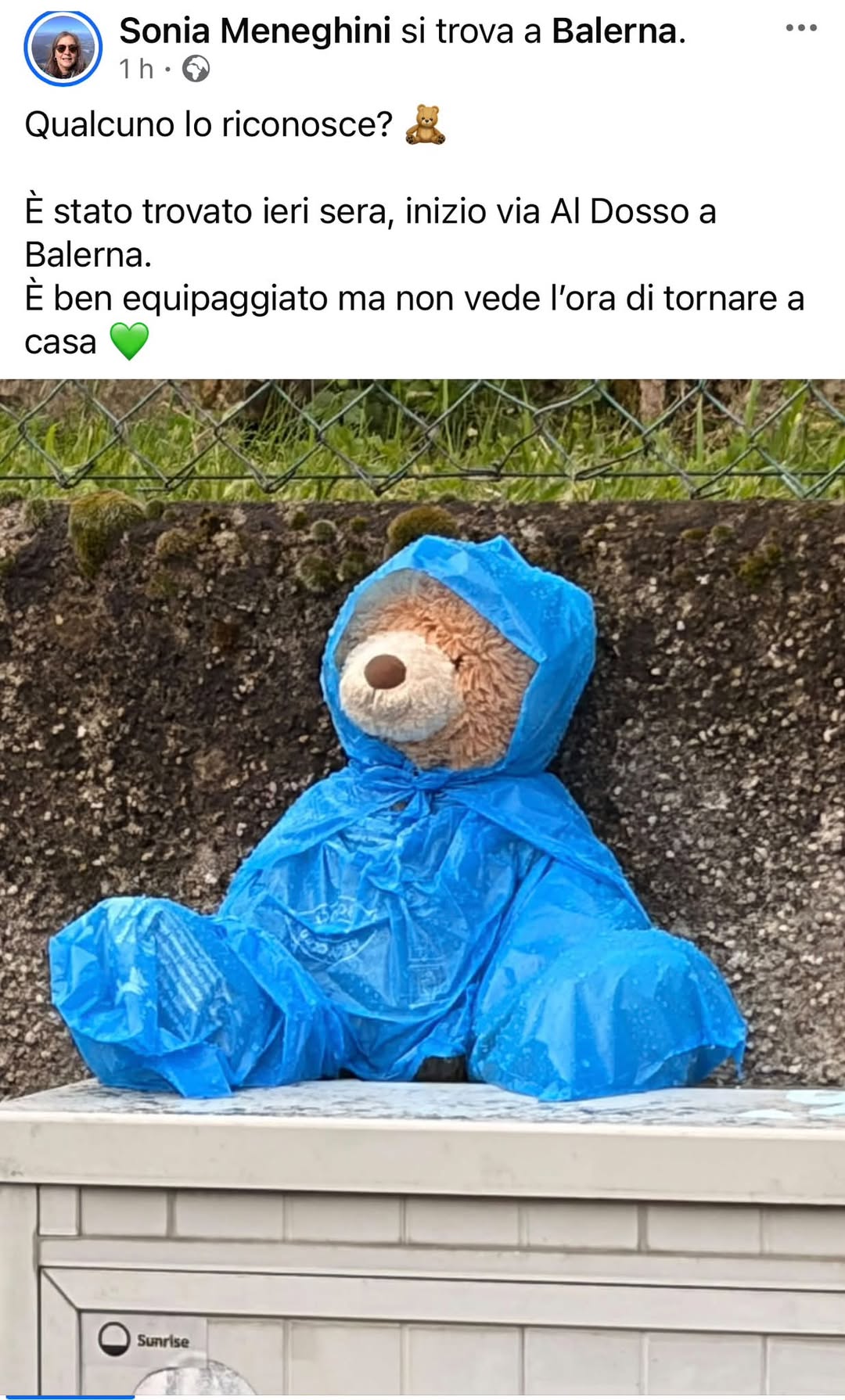 Found Toy in Balerna