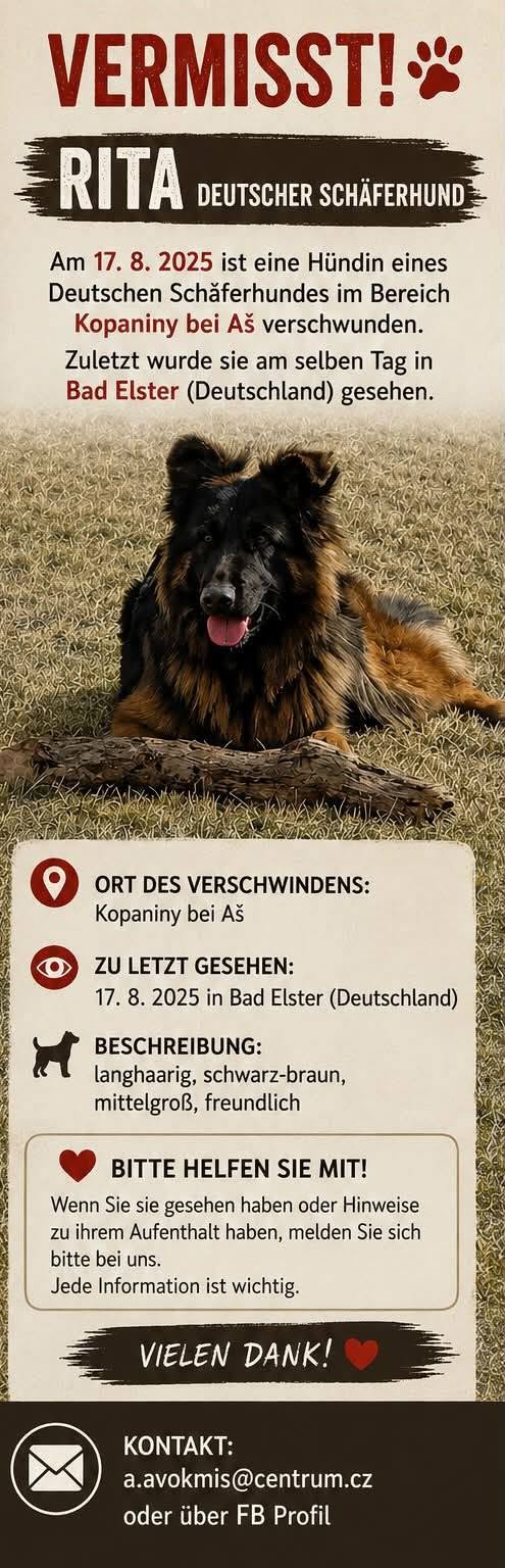Lost Dog in Bad Elster