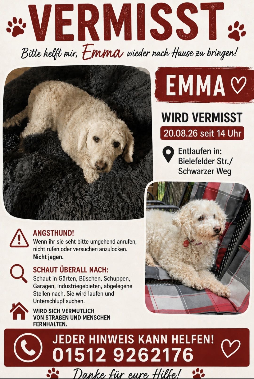 Lost Dog in Werther