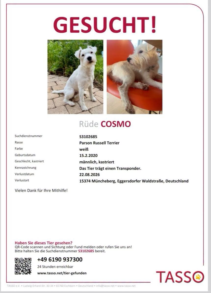 Lost Dog in MüNcheberg
